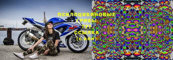 МДПВ Мегион