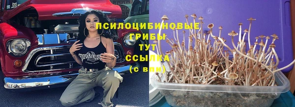 Альфа ПВП Аксай