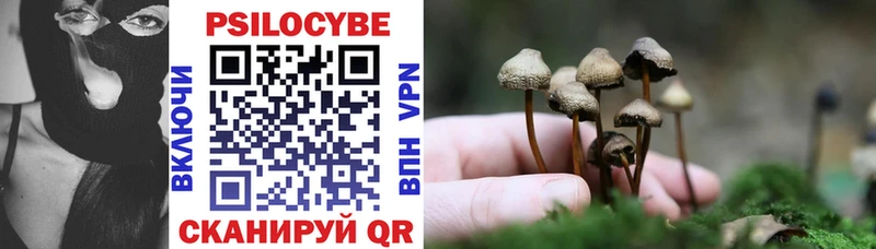 Галлюциногенные грибы мицелий  Кириши 