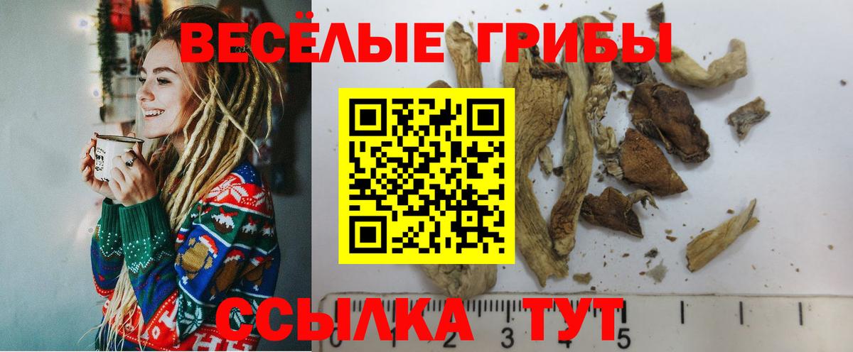 Псилоцибиновые грибы MAGIC MUSHROOMS  купить наркотик  Кириши  Галлюциногенные грибы мухоморы 