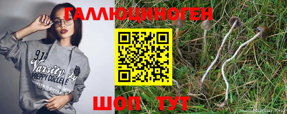 Галлюциногенные грибы GOLDEN TEACHER Кириши