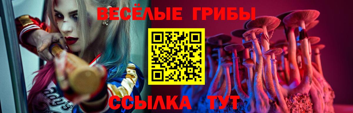 Галлюциногенные грибы Cubensis Кириши