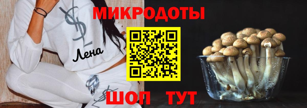 Кириши  Псилоцибиновые грибы ЛСД  Вход с VPN 