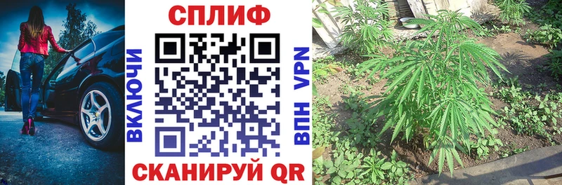 Шишки марихуана семена  Кириши 