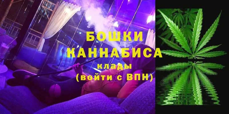 Бошки марихуана SATIVA & INDICA  как найти   Кириши 